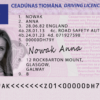 Ireland Driving Licence